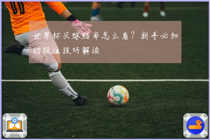 世界杯买球赔率怎么看？新手必知的投注技巧解读