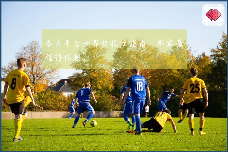 各大平台世界杯投注指南，哪家最值得信赖？