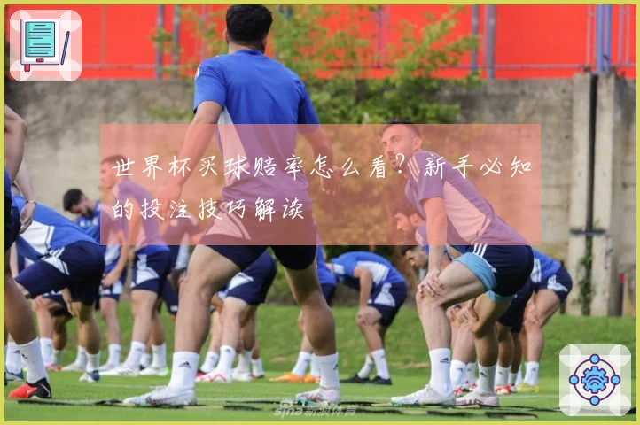 世界杯买球赔率怎么看？新手必知的投注技巧解读