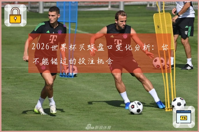 2026世界杯买球盘口变化分析：你不能错过的投注机会
