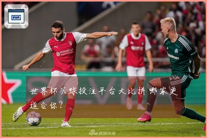 世界杯买球投注平台大比拼 哪家更适合你？