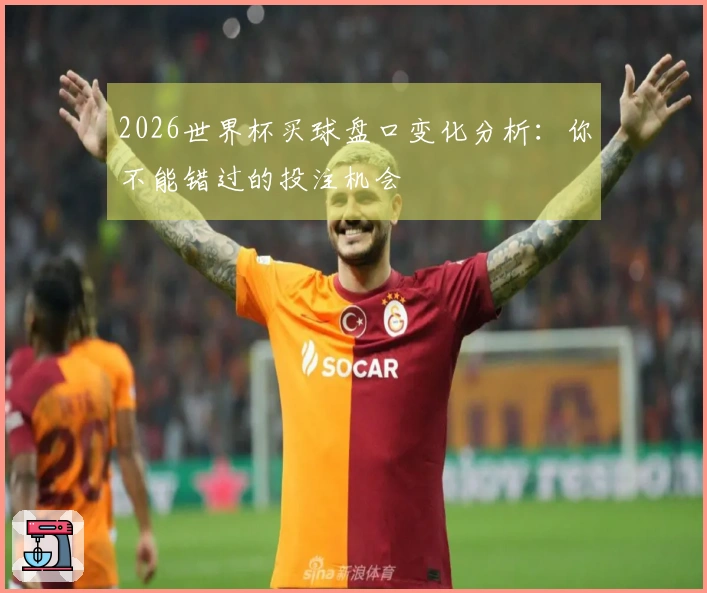 2026世界杯买球盘口变化分析：你不能错过的投注机会