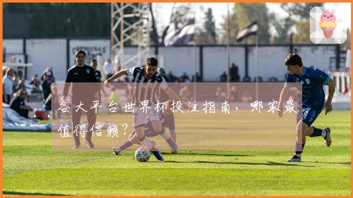 各大平台世界杯投注指南，哪家最值得信赖？