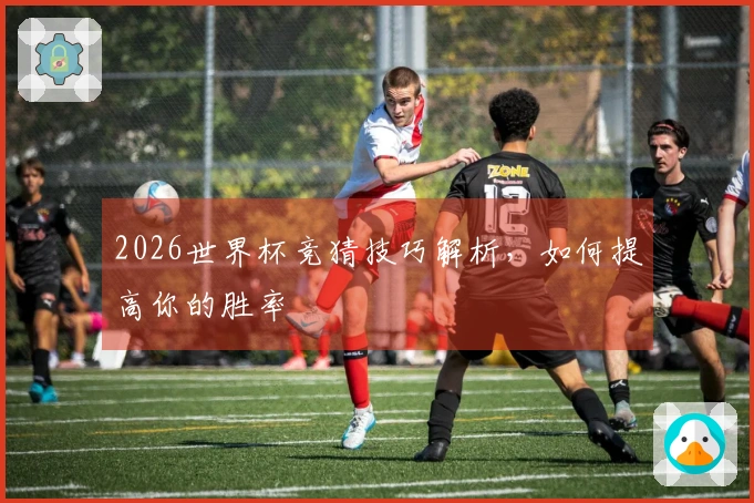 2026世界杯竞猜技巧解析，如何提高你的胜率